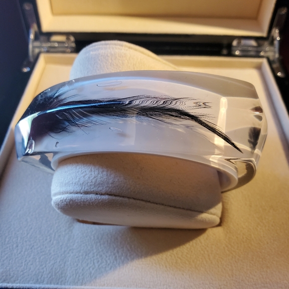Vintage Clear Resin Bangle with Black Feathers - Picture 4 of 13